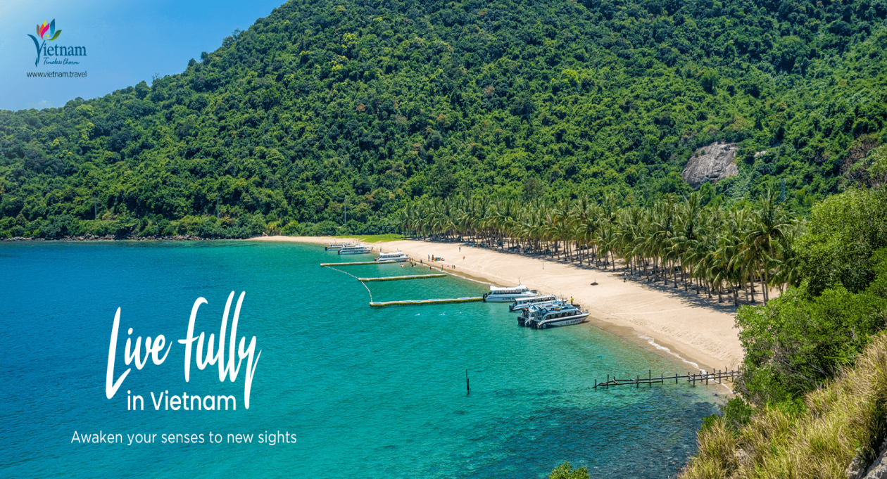 ABOUT VISIT VIETNAM visual data 5